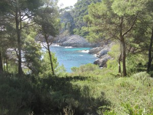 IMG_4453 (Medium)